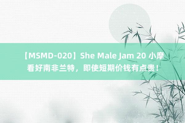 【MSMD-020】She Male Jam 20 小摩看好南非兰特，即使短期价钱有点贵！