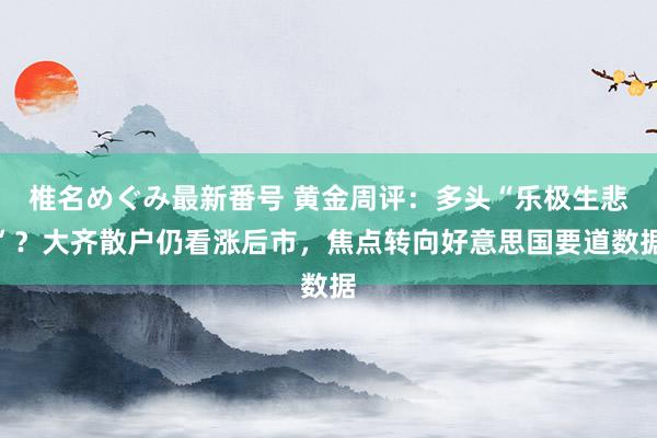 椎名めぐみ最新番号 黄金周评：多头“乐极生悲”？大齐散户仍看涨后市，焦点转向好意思国要道数据