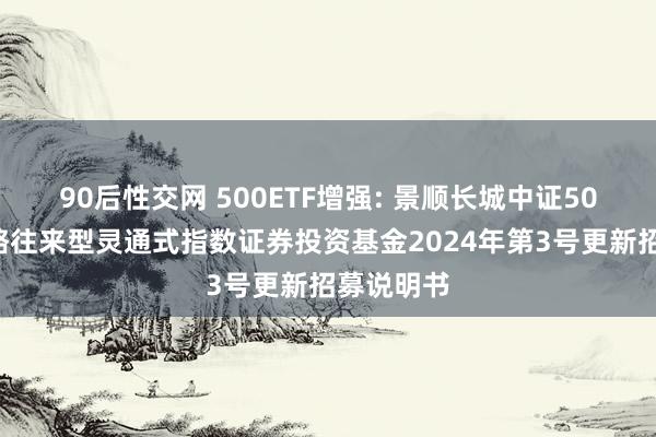 90后性交网 500ETF增强: 景顺长城中证500增强策略往来型灵通式指数证券投资基金2024年第3号更新招募说明书