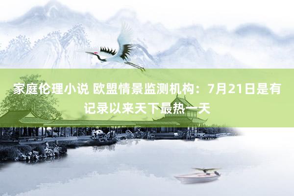 家庭伦理小说 欧盟情景监测机构：7月21日是有记录以来天下最热一天