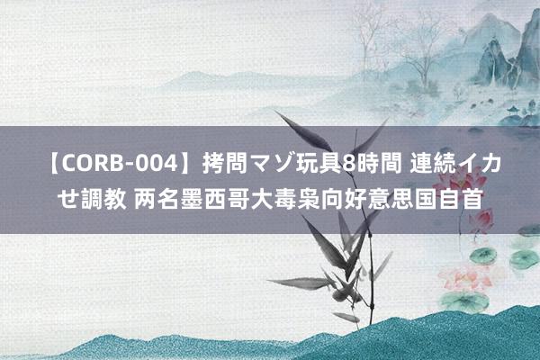 【CORB-004】拷問マゾ玩具8時間 連続イカせ調教 两名墨西哥大毒枭向好意思国自首