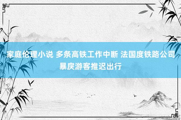 家庭伦理小说 多条高铁工作中断 法国度铁路公司暴戾游客推迟出行