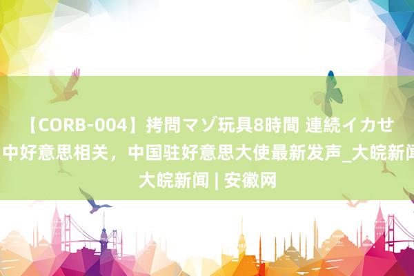 【CORB-004】拷問マゾ玩具8時間 連続イカせ調教 事关中好意思相关，中国驻好意思大使最新发声_大皖新闻 | 安徽网