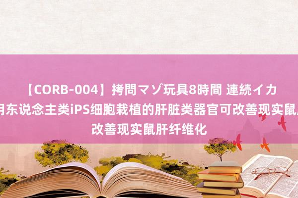 【CORB-004】拷問マゾ玩具8時間 連続イカせ調教 用东说念主类iPS细胞栽植的肝脏类器官可改善现实鼠肝纤维化