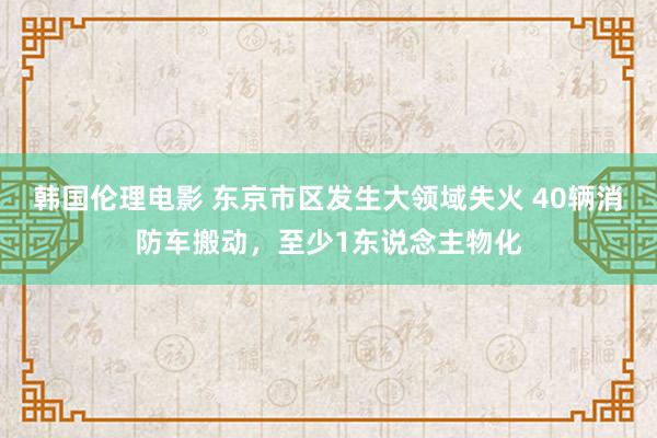 韩国伦理电影 东京市区发生大领域失火 40辆消防车搬动，至少1东说念主物化