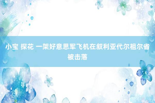 小宝 探花 一架好意思军飞机在叙利亚代尔祖尔省被击落