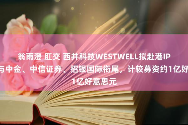 翁雨澄 肛交 西井科技WESTWELL拟赴港IPO，传与中金、中信证券、招银国际衔尾，计较募资约1亿好意思元