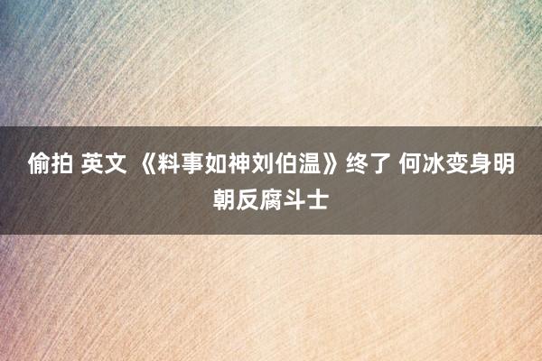 偷拍 英文 《料事如神刘伯温》终了 何冰变身明朝反腐斗士