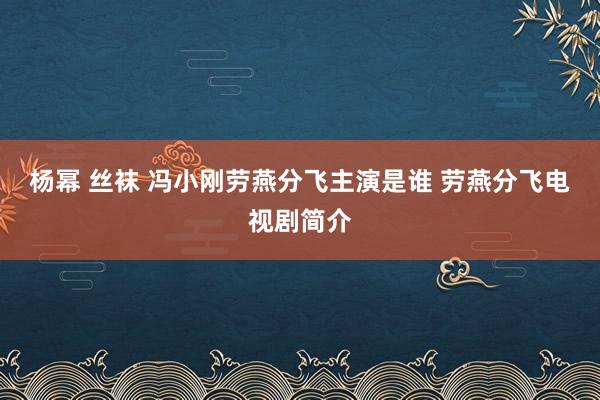 杨幂 丝袜 冯小刚劳燕分飞主演是谁 劳燕分飞电视剧简介