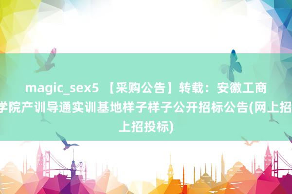 magic_sex5 【采购公告】转载：安徽工商事业学院产训导通实训基地样子样子公开招标公告(网上招投标)